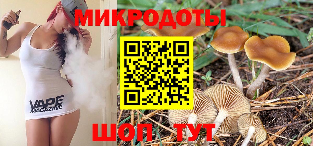 Галлюциногенные грибы Psilocybine cubensis  Вход с VPN  Крымск 