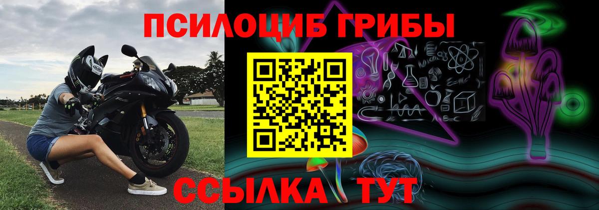 Псилоцибиновые грибы Cubensis Крымск